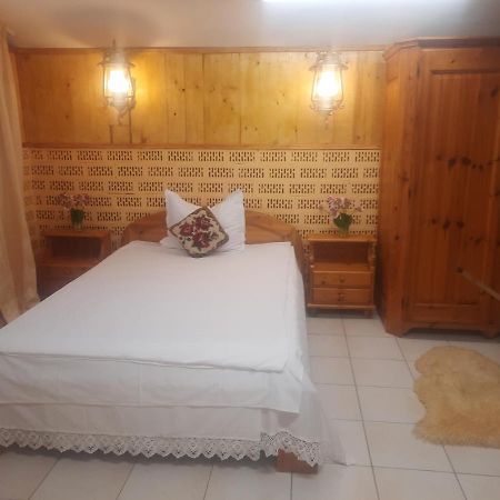 Apartament Pe Malul Raului Bega تيميشورا المظهر الخارجي الصورة