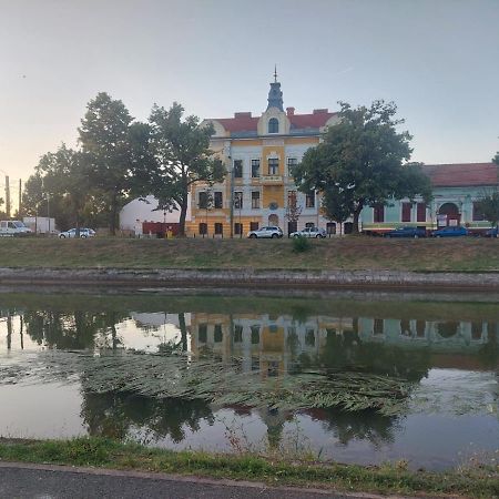 Apartament Pe Malul Raului Bega تيميشورا المظهر الخارجي الصورة