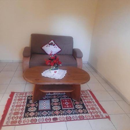 Apartament Pe Malul Raului Bega تيميشورا المظهر الخارجي الصورة