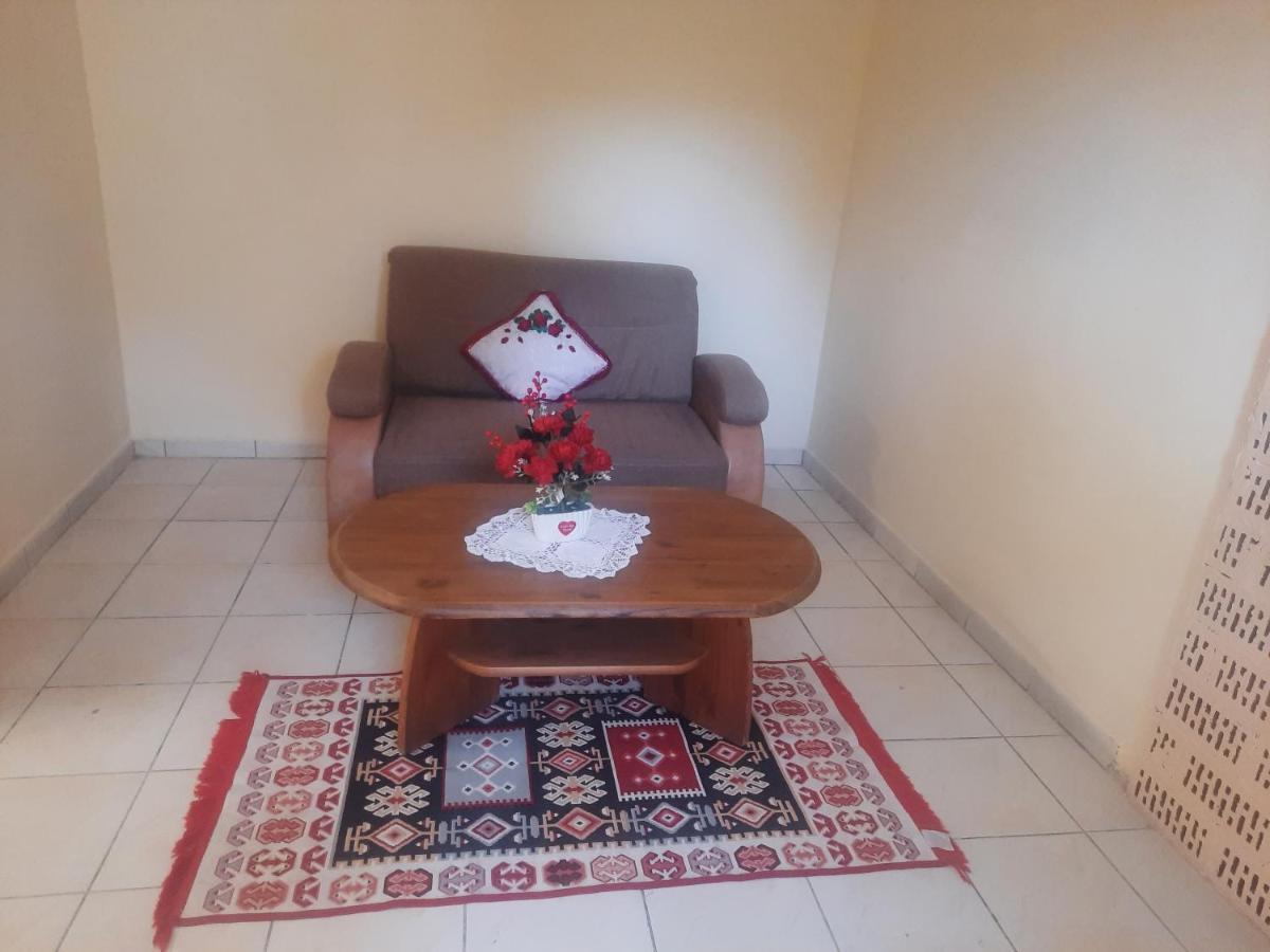Apartament Pe Malul Raului Bega تيميشورا المظهر الخارجي الصورة
