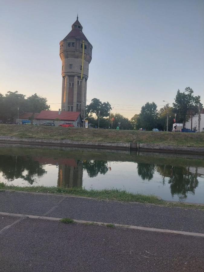 Apartament Pe Malul Raului Bega تيميشورا المظهر الخارجي الصورة
